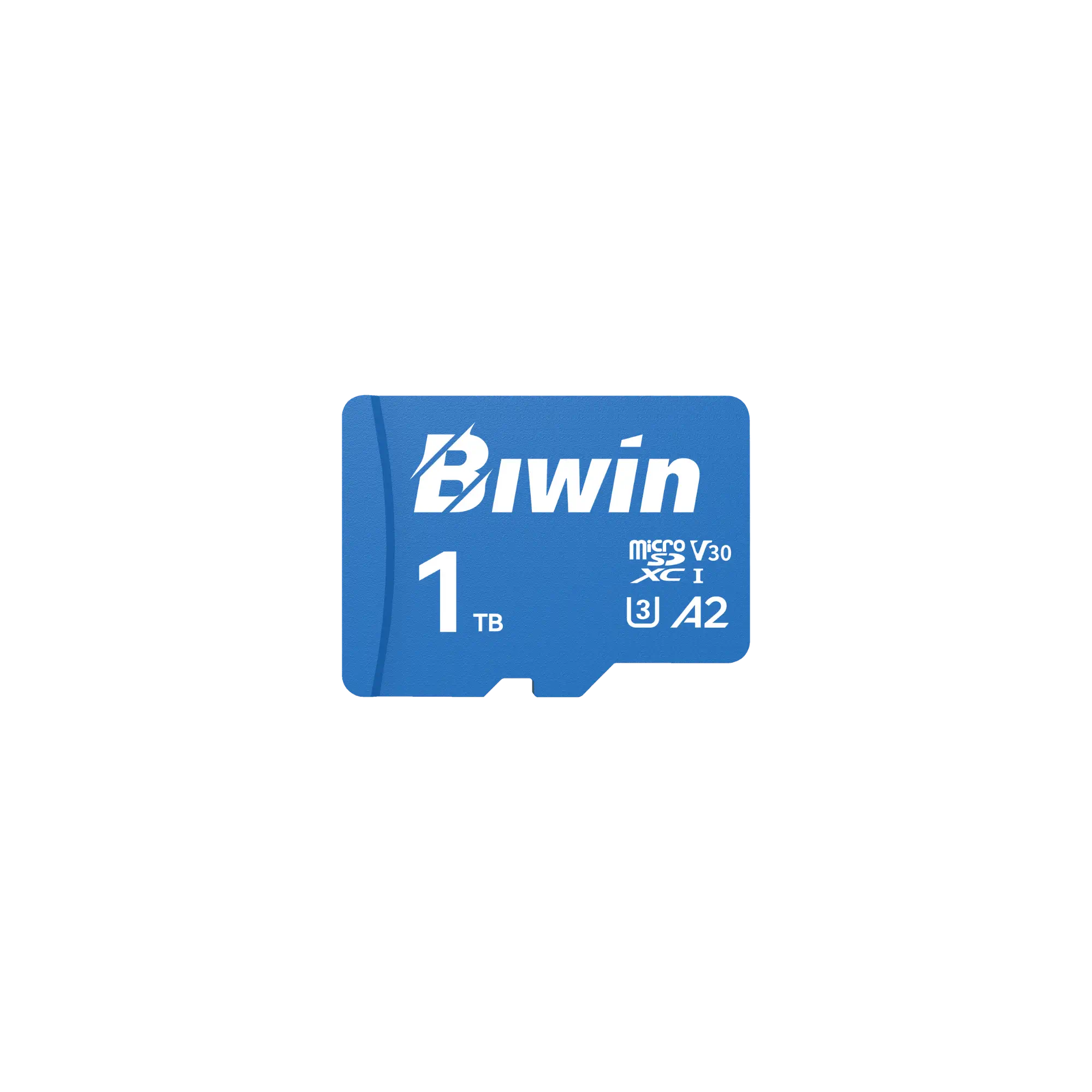 Biwin MS210 microSD Card