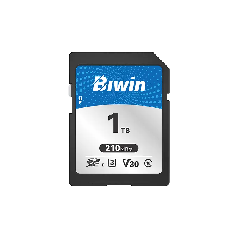 Biwin SD210 SD Card