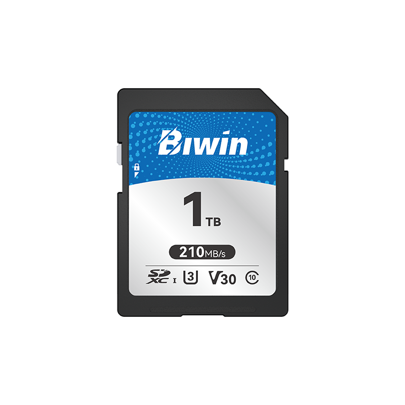 Biwin SD210 SD Card